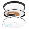 LED Ceiling Lights